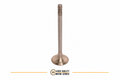 Exhaust Valve for DEUTZ / 912/ 913/ 914 _04159137